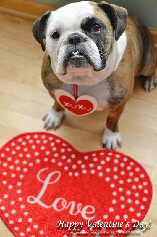 "Happy Valentine's Day! Love" - Coeurs ...