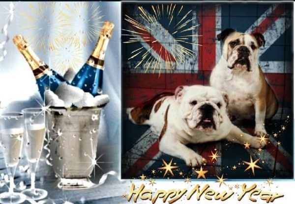 "Happy New Year" - Entre champagne et feu d'artifices...