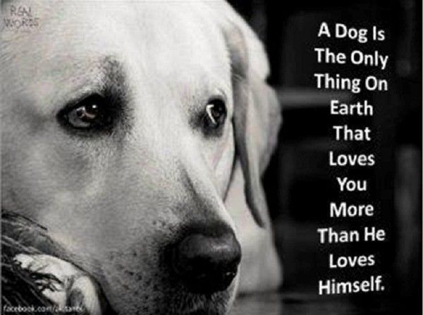 "A dog is the only thing on earth that loves you..."...