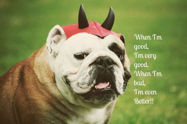 "When I'm good, I'm very good. When I'm bad, I'm even...!!"