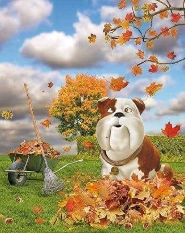 Ramassage des feuilles mortes   ...