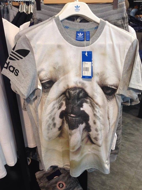 pug adidas