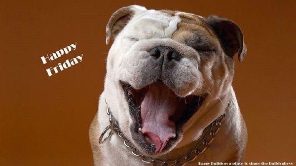 "Happy Friday"...
