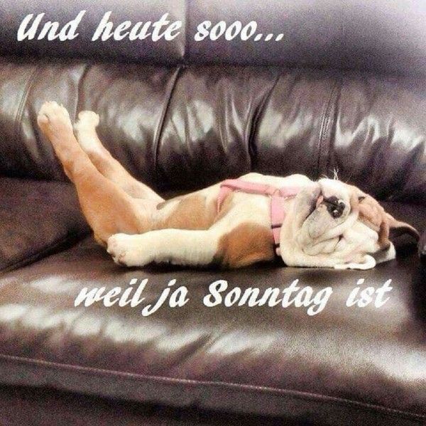 "Und heute sooo... wel ja sonntag ist" ...