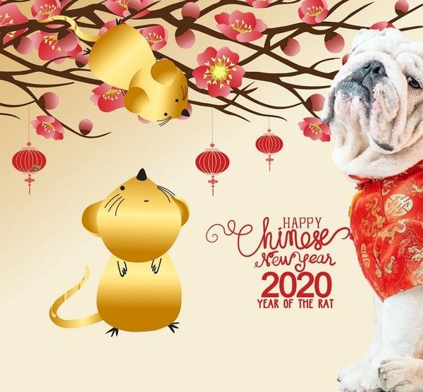 KDO pour qui le souhaite, MA CREA ...