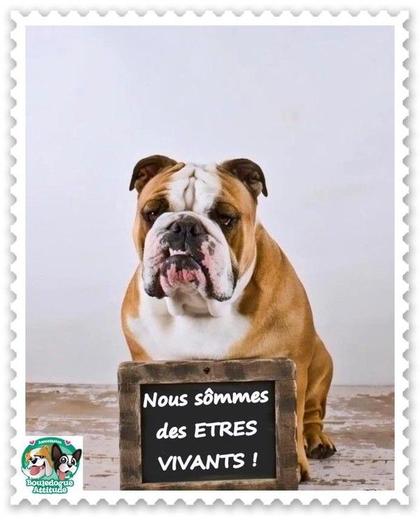 "Nous sommes des ETRES VIVANTS!"...