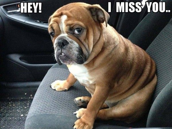 "Hey! I miss you..." - Hé! Tu me manques...