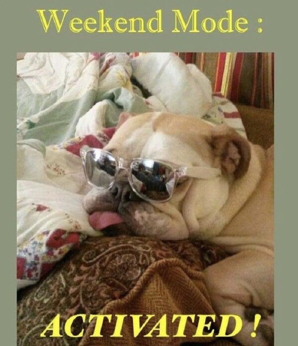 "Weekend Mode: Activated!"   ...