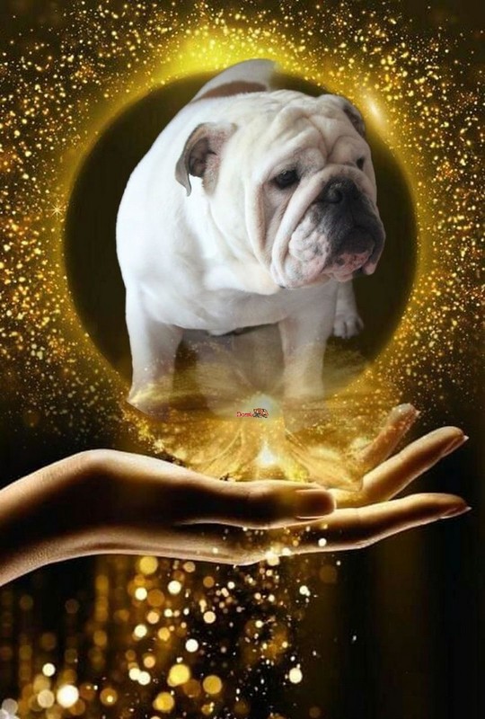 Mon boubou... Tout l'or du monde   ...