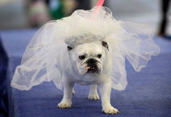 La mariée ne se fait pas attendre...