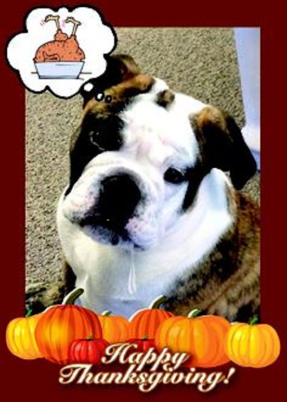 "Happy Thanksgiving!" - De penser à la dinde rôtie...