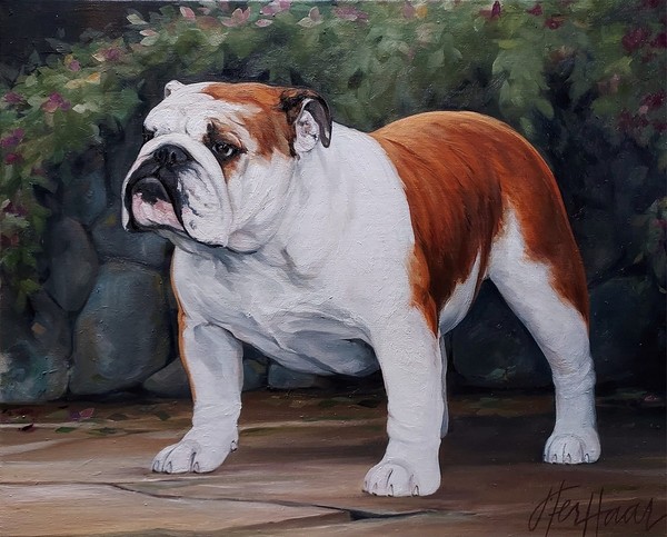 Par Jeane TERHAAR   "Ch. Salem's Absolutely Sinful ..."...