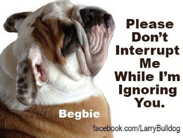 "Please don't interrupt me while I'm ignoring you" ...