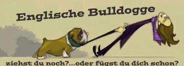 "Englische bulldogge. Ziehst du noch?... "...