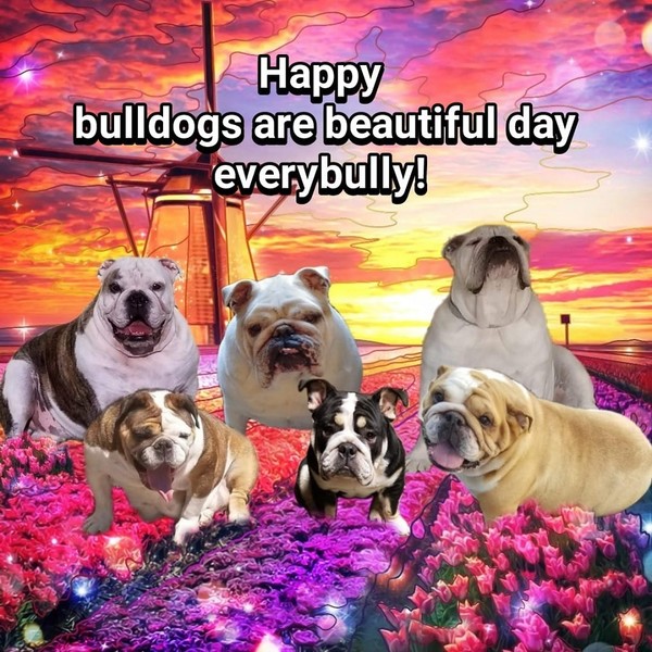 "Happy bulldogs are beautiful day everybully!"