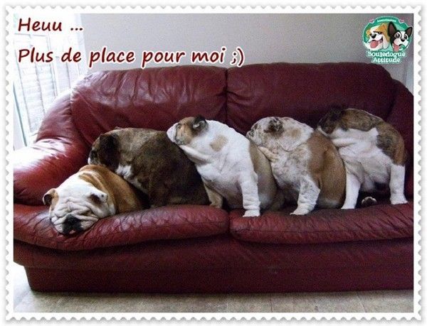 "Heuu... Plus de place pour moi ;)"...