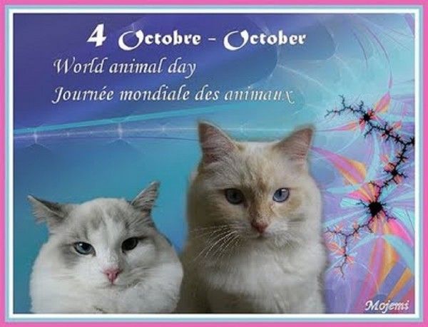 "4 Octobre - October..."...  
