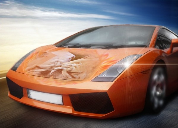 Lamborghini   ...