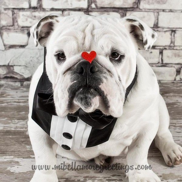 Je t'offre mon coeur ...