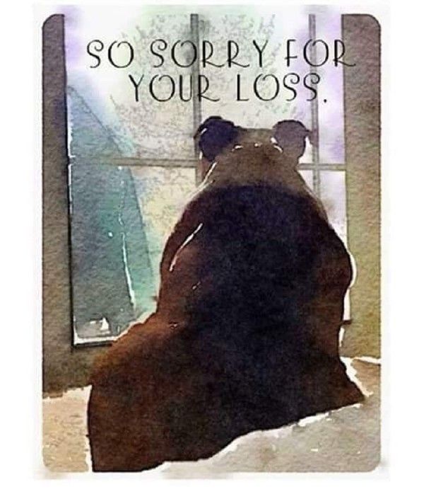 "So sorry for your loss" ...