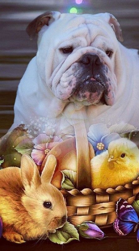Lapin, poussin, papillon, œuf et fleurs   ...
