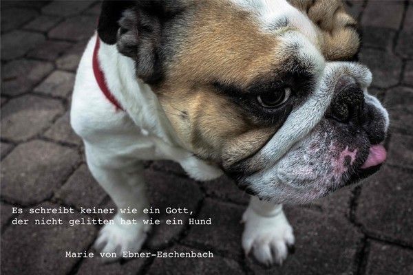 "Es schreibt keiner wie ein Gott, der ..." ...