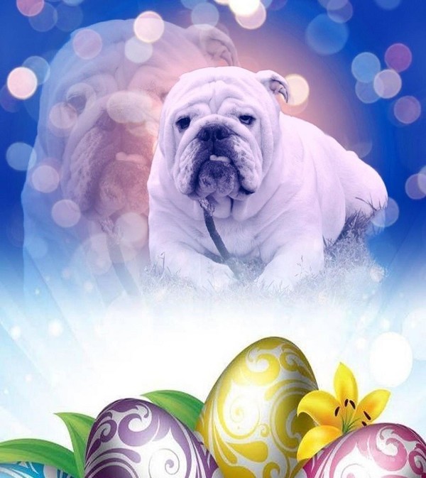 Vais-je avoir droit à de jolis oeufs peints moi aussi?