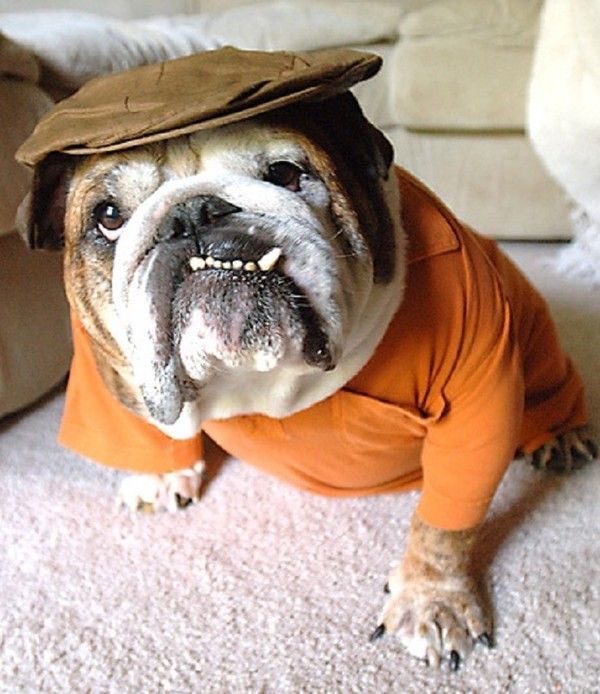 Habillé typiquement à la Française...