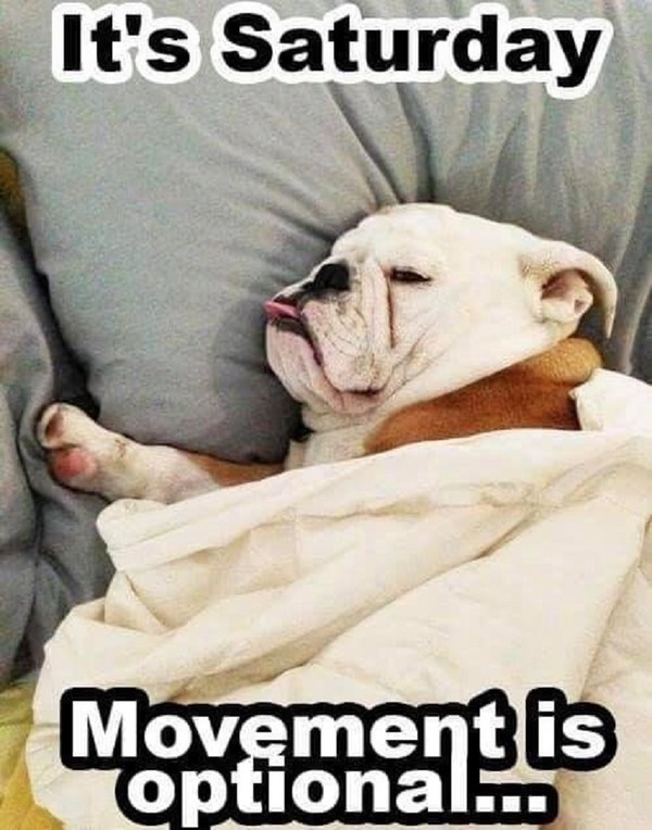 "It's saturday Movement is optional..."  ...