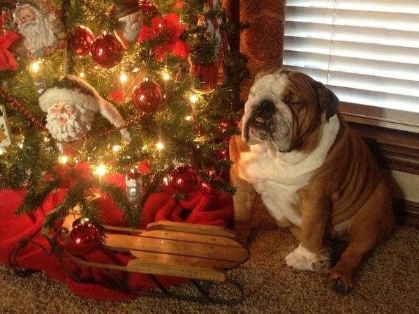 Se fait attendre le Père-Noël!!! Pffff... 