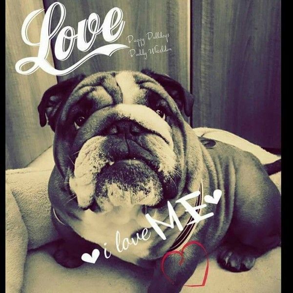 "Love. I love me" - Je m'aime ...