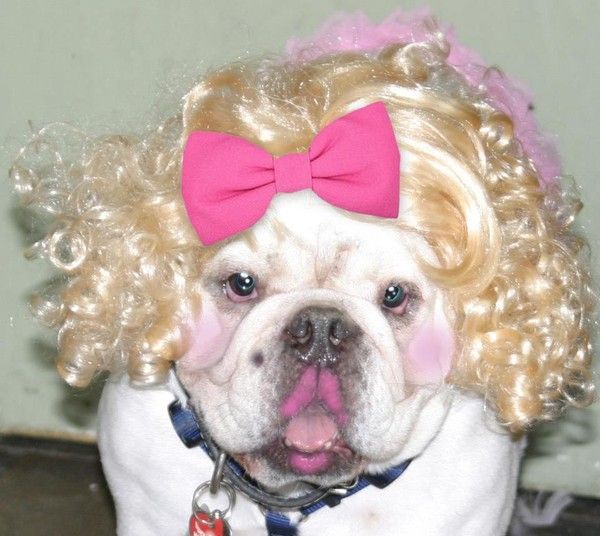 Maryline n'a qu'à bien se tenir ;) ...