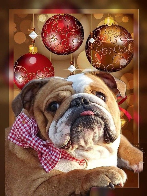 Impressionné(e) par Noël ...