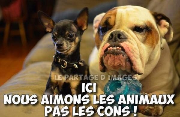 "Ici, nous aimons les animaux pas les cons!" ...