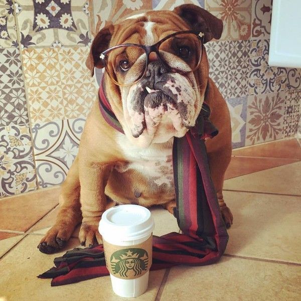 Un bon café... Et c'est parti pour la journée! ...