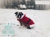 "Merry Christmas" - Dans la neige en manteau de Noël ...