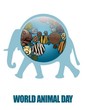 "World Animal Day" - De tous poils sur terre   ...