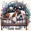 "Good Night" - Dans son petit lit avec sa tétine   ...