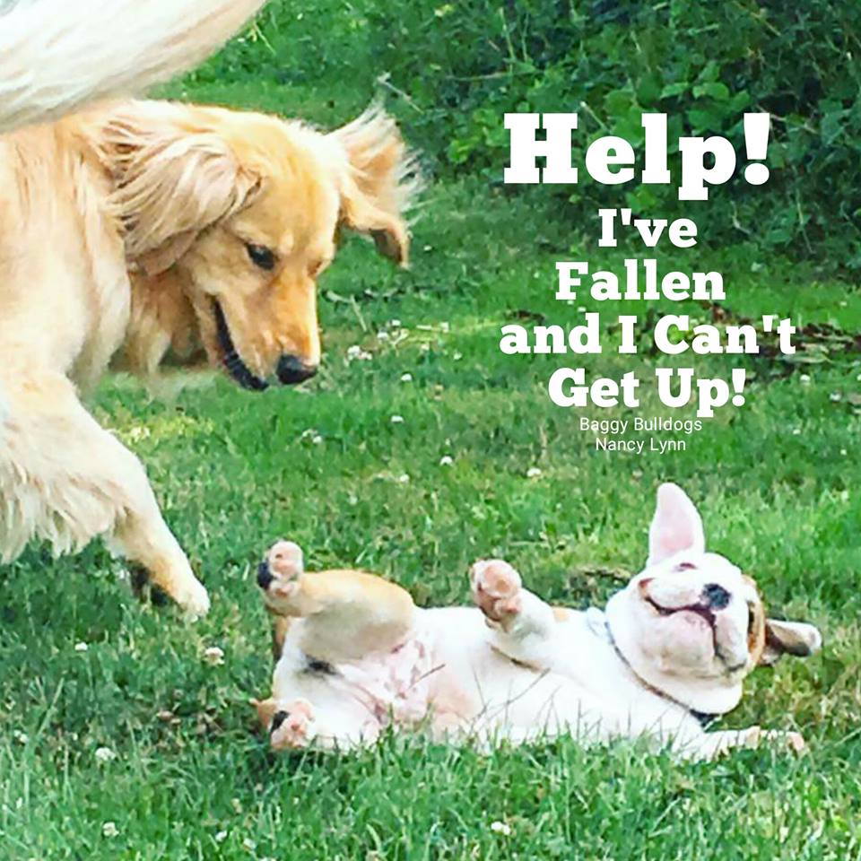 "Help! I've fallen and I can't get up!"