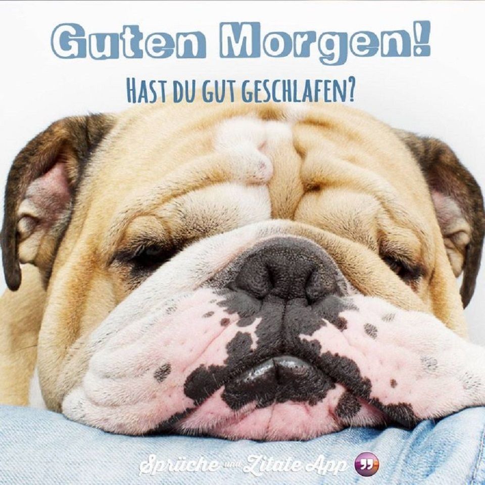 Guten Morgen Hast Du Gut Geschlafen