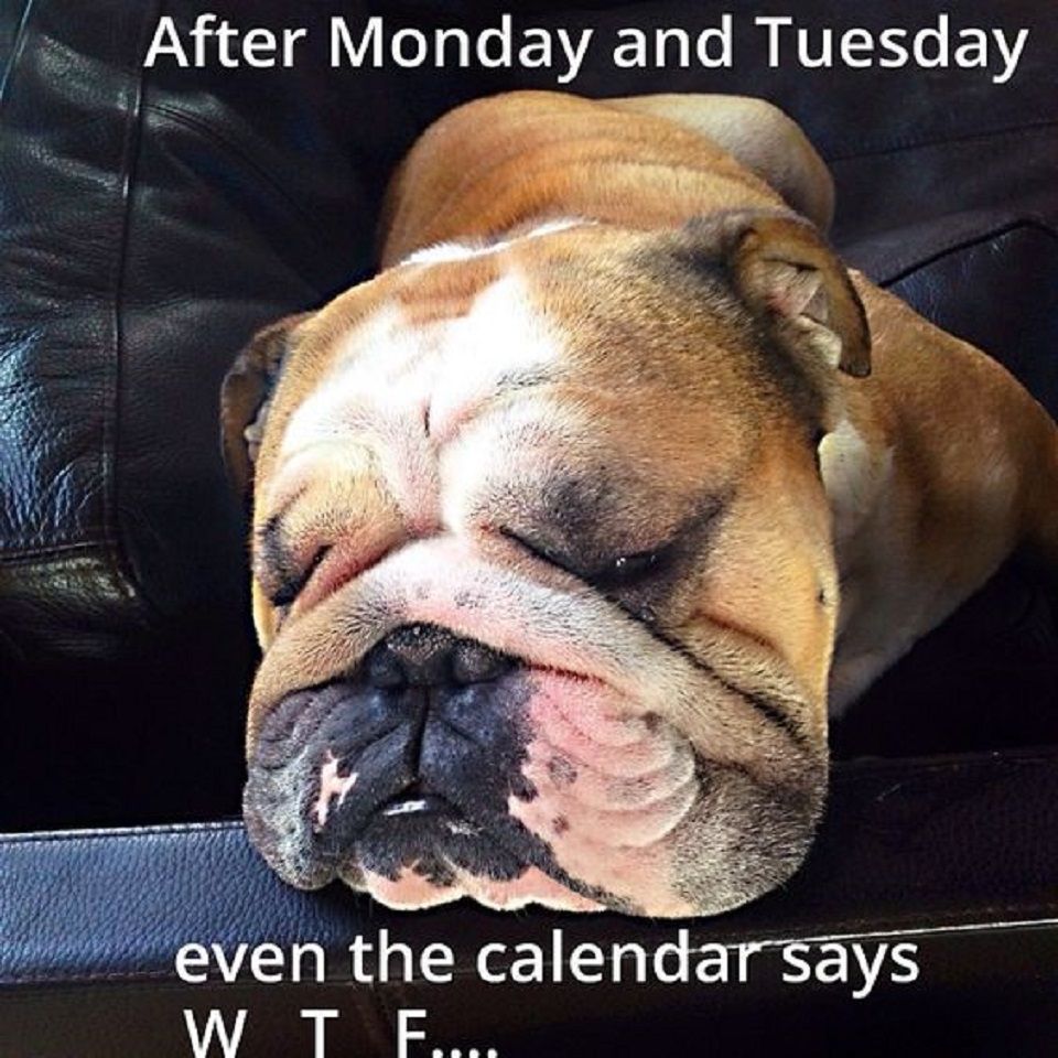 "After Monday and Tuesday even the calendar says WTF..."