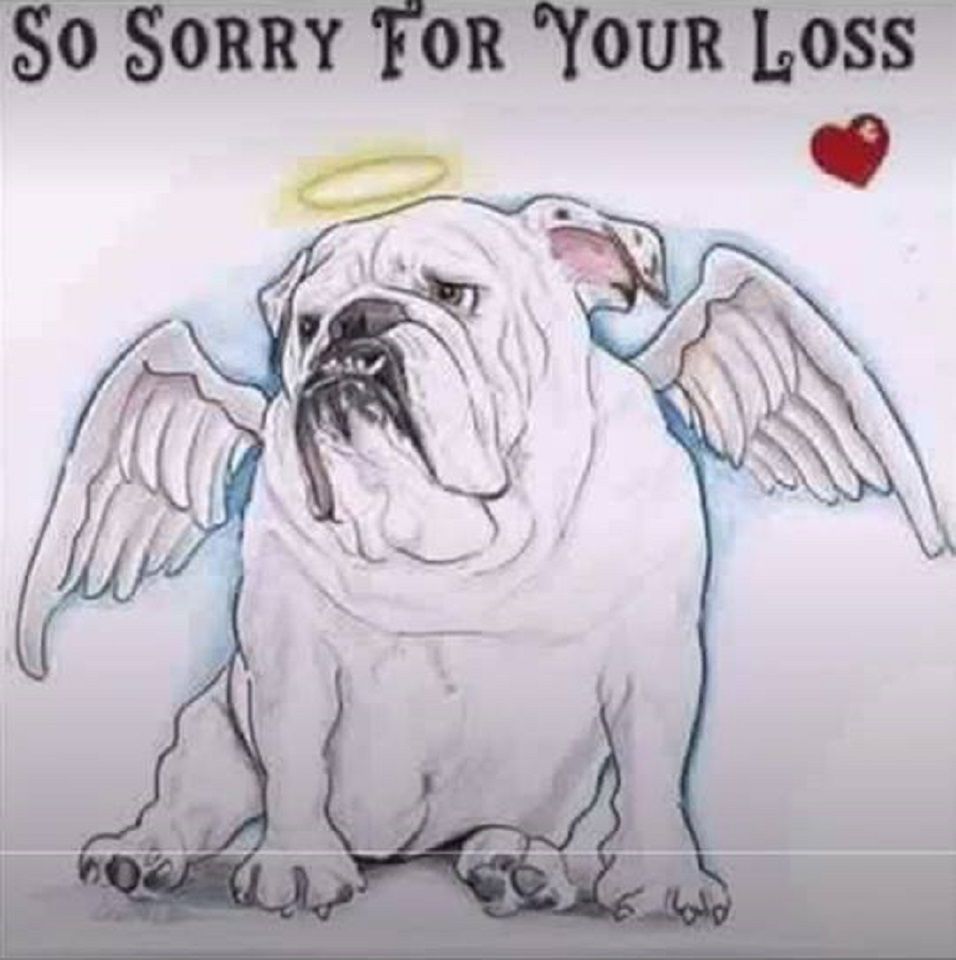 so-sorry-for-your-loss