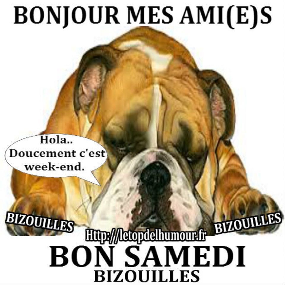 "Bonjour Mes Ami(e)s. Bon Samedi. Bizouilles"