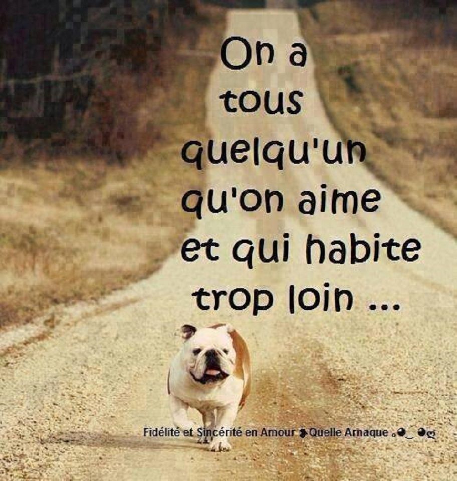 Rencontre ado amour